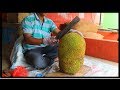 FRUIT NINJA of RAW JACKFRUIT | Amazing jackfruit Fruits Cutting Skills | Indian Street Food In 2018