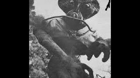 FLIGHT OF THE THETAN - THE OUTER LIMITS WHAT IF