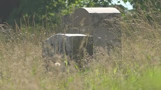 'It's a disgrace': Families complain about conditions at Green Lawn Cemetery