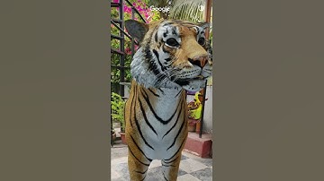 Google brings life-size 3D animals to your room | Search for tiger in Google | Best for Children