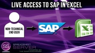 Building SAP® Reports with Spreadsheet Server