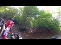 Lead rider disappearing into the woods