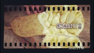 Makan Durian Monthong Sampe Kenyang !!!