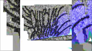 Сьюзи Ритмы - свет забвения (2025) [Black metal]