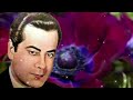 حبيبي سهرني فريد الاطرش 
