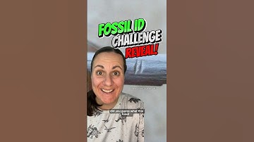 You wont believe what this fossils is! Did you guess right? #learn #palaeontology #dinosaur