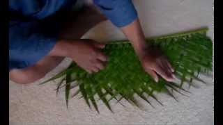 Palm Weaving w/ The Urban-Abo: Double-Sided Weave (version 2)
