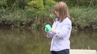 Modern Water - Introduction