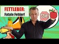 FETTLEBER: Fatale Ernährungsfehler!