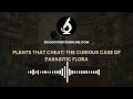 Plants That Cheat: The Curious Case of Parasitic Flora