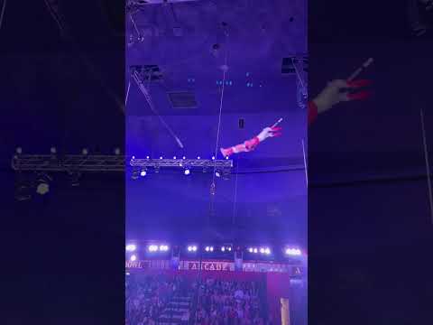 Incredible Circus Show -2 #lasvegas #vegasvacation #travel #vacation #shorts #circus