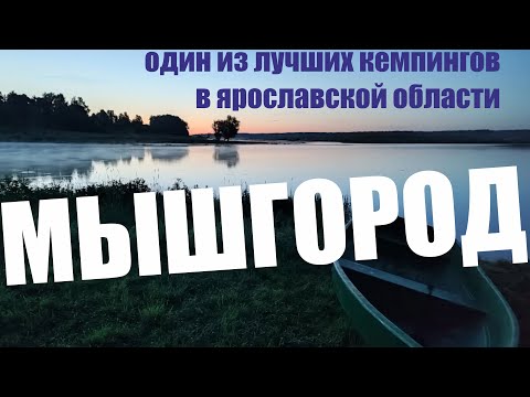 Кемпинг Мышгород 2022 | Отдых с детьми в палатке