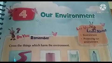 Dalauda Public School class 3rd science chapter 4th of semester 2 by Bindu Tiwari