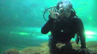 Fun Dive Jakarta Indonesia