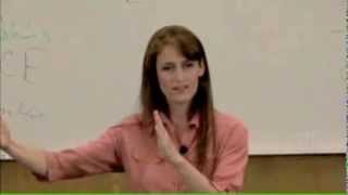 The birth of Portal to Genius (why The Jackrabbit Factor wasn't enough)