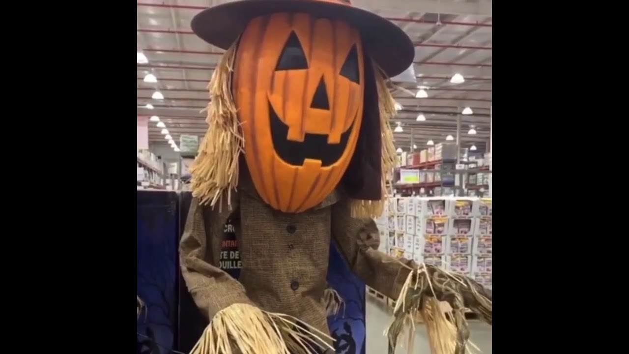 Costco 2020 Halloween Props - YouTube
