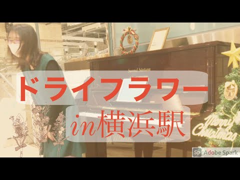 【ストリートピアノ】横浜駅でドライフラワー／優里を、初公開のフルバージョンで弾いてみた☺️🎄お聴き下さりありがとうございます♫