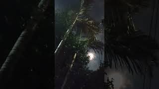 VIEW, #highlights #videos #sky #moon  #youtube #weather #reels #night #fun #tree #dark #light #cloud