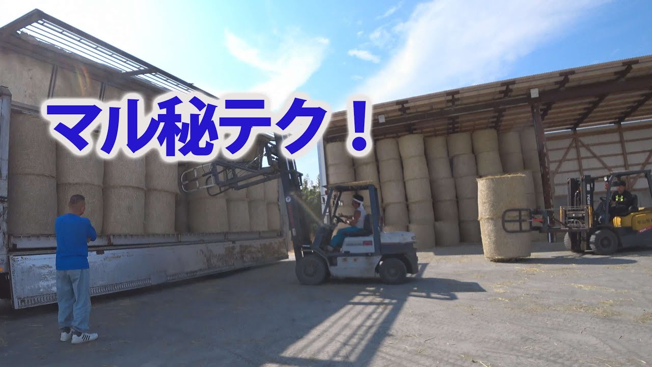 【会社員実家農業手伝う】令和2年大型トラックにリフトで藁の積み込みワラ取りは・・・