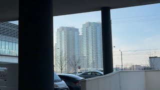 Park Yawn Condo and Chilling with Swayze Badaili  Pizza Shot 40 bucks Pizza 🍕 