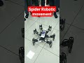 Spider Robotic Movements