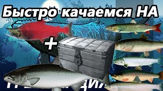 Быстро качаемся на ЧАВЫЧЕ + нерка + постоянно серебро  / Русская рыбалка 3