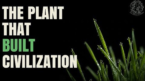 How Grass Shaped the World