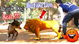 Big Fake Lion vs Real Dogs Prank Over Rural Village Very Funny With Surprise Scared Reaction