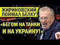 СТРАШНЫЕ БРЕДНИ ЖИРИНОВСКОГО И СОЛОВЬЁВА: НА ТАНКАХ НА ХАРЬКОВ!