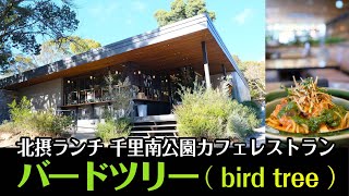 北摂ランチ Bird Tree バードツリー 子連れランチでもテラスでゆったり 公園駐車場あり南千里駅すぐ Youtube 北摂ランチ Bird Tree バードツリー 子連れランチでもテラスでゆったり 公園駐車場あり南千里駅すぐ Youtube