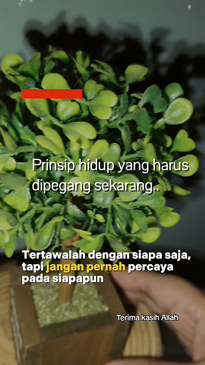 #hidupharusditeruskan #hidupuntukalAllah #terimakasihAllah #motivation #kongsi