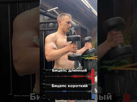Бицепс по науке💪🏼За персональным планом тренировок/питания обращаться в телеграмм:@TrainerSmirnoVV