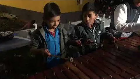 Marimba san sebastian h, de 2,019