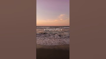 تلاوه من سورة الذاريات|بصوت القارئ انس الشهاب🎧✨ #quran #trending #قرآن #راحة_نفسية #قران_كريم