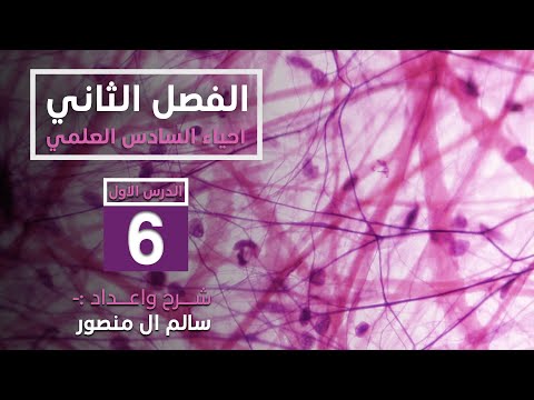 المحاضرة 6 مكونات النسيج الضام