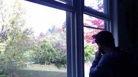 Scene 1 Outside