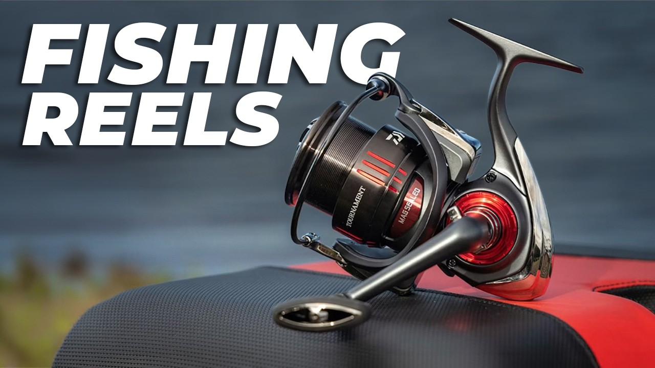 best 5wt fly reel under 100 Bauer RVR - Charcoal/Silver flash-boost Color:Black Neon Watermelon Red Flake Daiwa Saltiga Jigging Star stillwater angling with floating