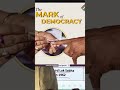 When was Indelible Ink used first time in general elections।पहली बार चुनाव में अमिट स्याही का प्रयोग