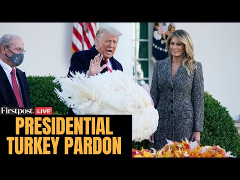 US President Turkey Pardon LIVE Trump Pardons Turkey Thanksgiving Turkey Pardon US Turkey Pardon