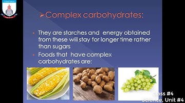 Food and Diet. Class 4. The Science Factor