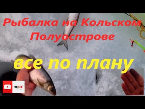 Рыбалка на Кольском Полуострове. Озеро Имандра. Ловля сига.