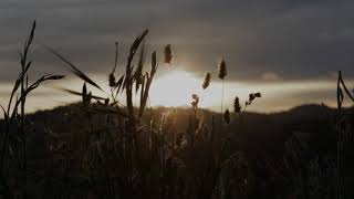 Humboldt County Documentary Teaser HD