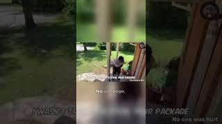 Porch Pirates Get Instant Karma  #breaking #breakingnews #donaldtrump #foreignpolicy #fox   #iran