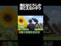 初めて聴いた時歌詞分からないやつ#ミセスグリーンアップル #空耳