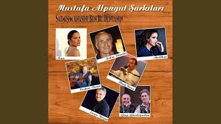 Seni Seviyorum Resimi