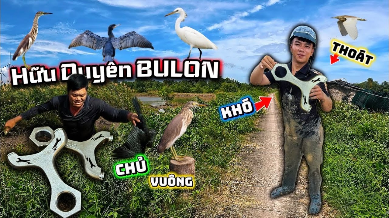 Cầm Ná BULON Hạ Cò Bay Bay Và Giúp Chủ Vuông Lụm Nguyên Bầy Vịt Đen...  || Trung Ku Nhí