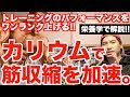 【知っているかどうかで差がつく】カリウムが筋収縮&筋出力を加速させる!!【栄養学的解説】