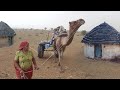 [468] मरुभूमि की यात्रा | रेत का रण #Desert #rajasthan #camel #thar #shubhjourney #sand