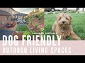 Landscaping Ideas for Dogs