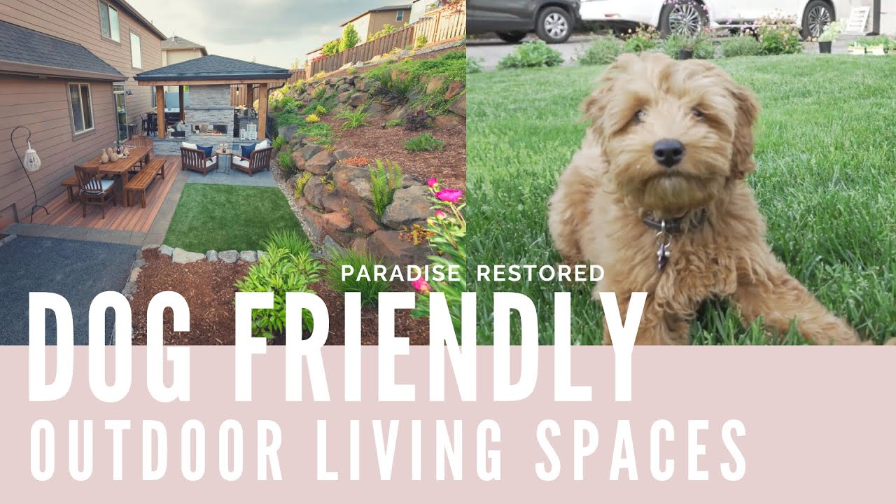 Featured image of post Low Maintenance Backyard Ideas For Dogs : These outdoor spaces minimize yard work and keep the focus on fun.